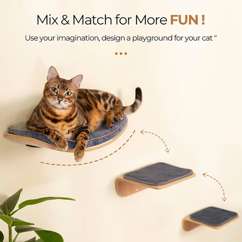 Wall-Mounted Cat Shelves – Curved Hammock Bed & Climbing Steps with Cushions for Sleeping, Playing, Climbing and Indoor Cat Furniture