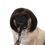 Pet Wig for Dogs & Cats – DIY Trimmable Curly or Straight Hair Costume Wig for Halloween, Parties, Photoshoots and Fun Pet Dress-Up