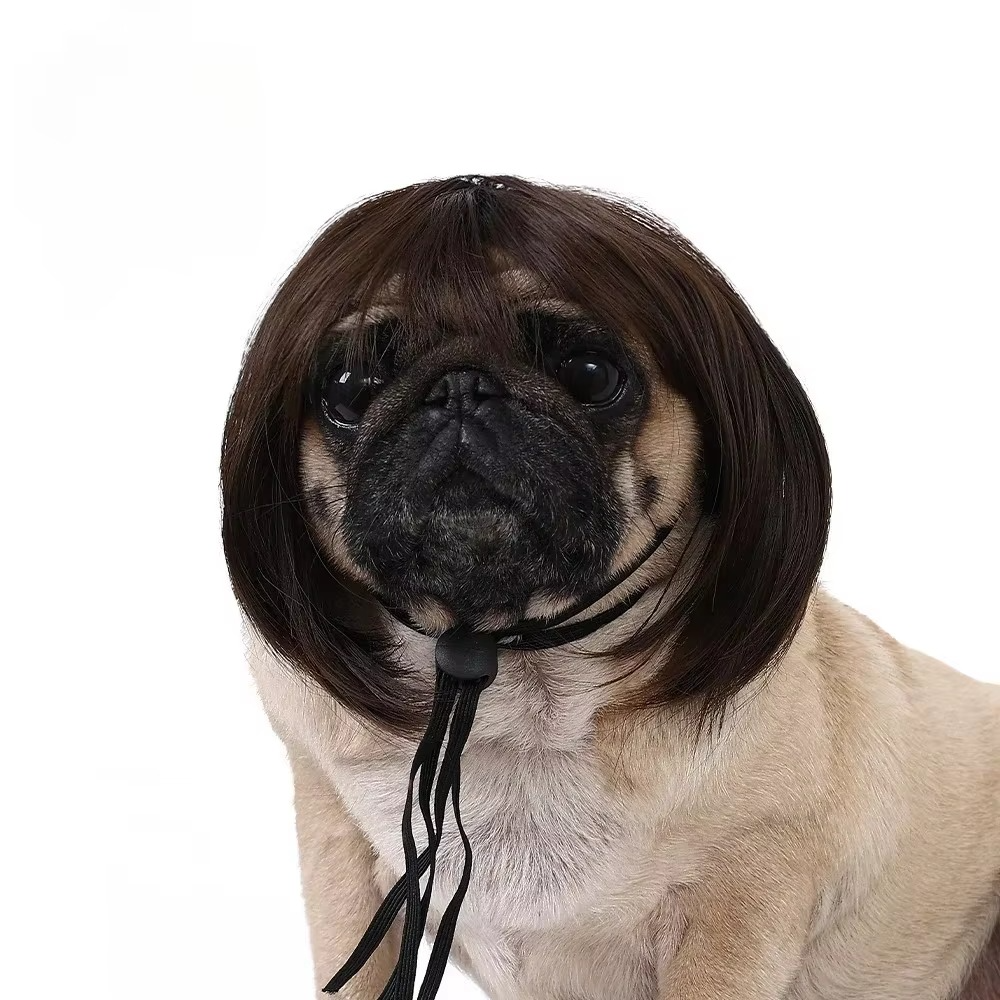Pet Wig for Dogs & Cats – DIY Trimmable Curly or Straight Hair Costume Wig for Halloween, Parties, Photoshoots and Fun Pet Dress-Up