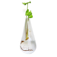 Slanted Triangle Vase