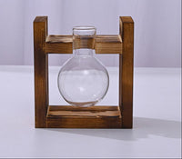 Plant Vase Bulb
