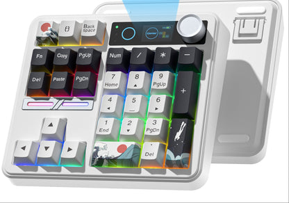 Wireless Mechanical Numpad Keyboard – Compact Gasket-Mount Numeric Keypad with Responsive Mechanical Switches for Gaming, Office and Productivity