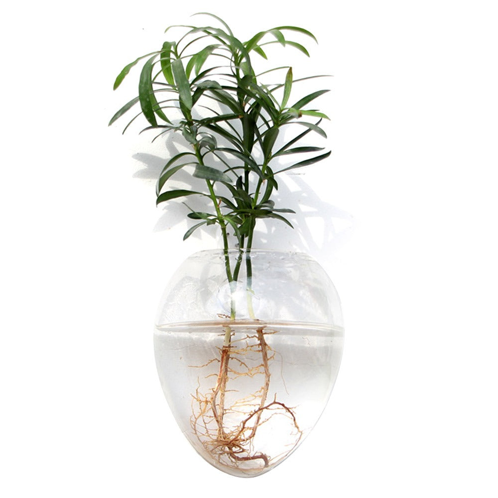 Wall Hanging Glass Vase – Hydroponic Plant Terrarium Planter for Flowers, Home Decor and Modern Garden Displays
