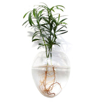 Teardrop Vase