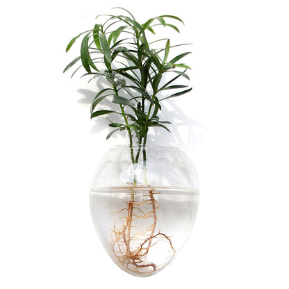 Wall Hanging Glass Vase – Hydroponic Plant Terrarium Planter for Flowers, Home Decor and Modern Garden Displays