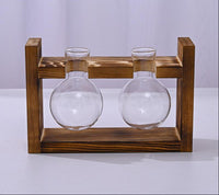 Plant Vase 2 bulb