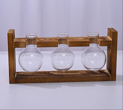 Glass Propagation Station – Tabletop Hydroponic Plant Vase with Wooden Tray for Home, Office and Elegant Botanical Display