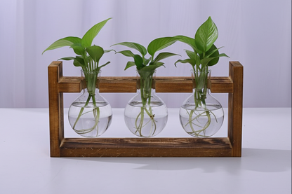 Glass Propagation Station – Tabletop Hydroponic Plant Vase with Wooden Tray for Home, Office and Elegant Botanical Display