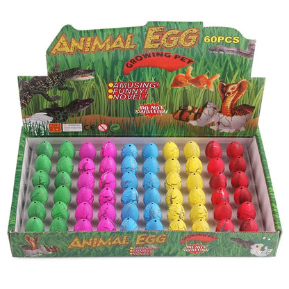 Magic Growing Dinosaur Eggs Set - Water Hatching Educational Surprise Toys for Kids with 60 Colorful Dinosaur Eggs