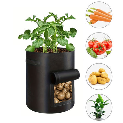 See-Through Potato Planter Bag – Breathable Non-Woven Grow Pot with 360° Transparent Window for Potatoes, Vegetables, Herbs and Easy Harvest Monitoring