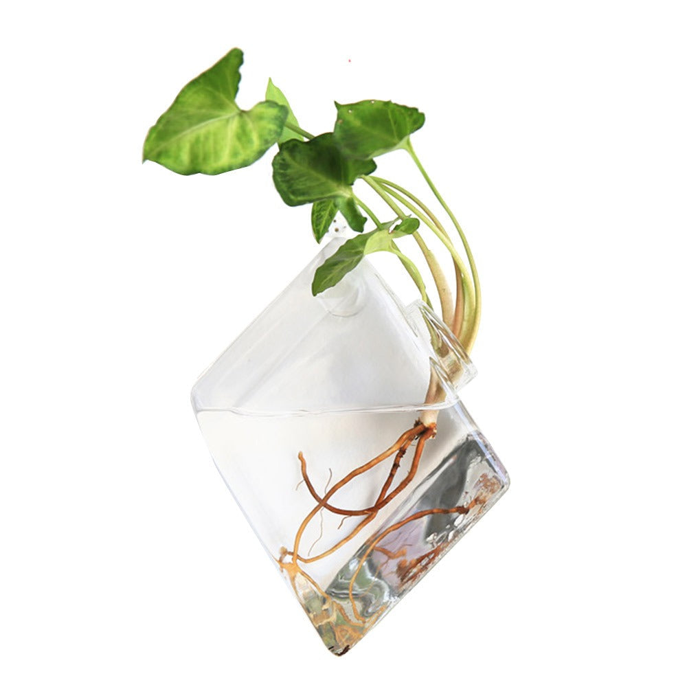 Wall Hanging Glass Vase – Hydroponic Plant Terrarium Planter for Flowers, Home Decor and Modern Garden Displays