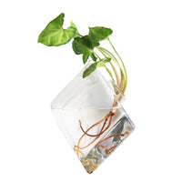 Wall Hanging Vase