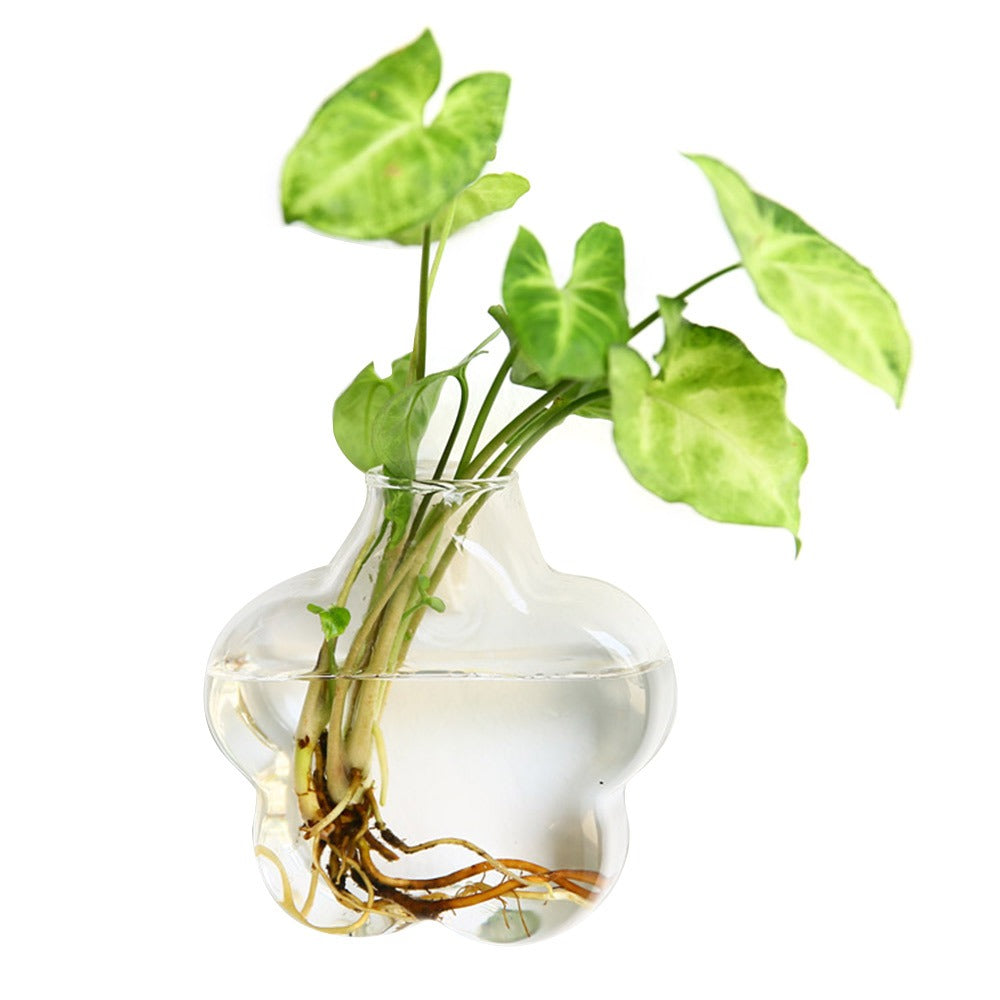 Wall Hanging Glass Vase – Hydroponic Plant Terrarium Planter for Flowers, Home Decor and Modern Garden Displays