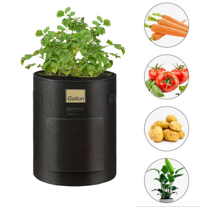 See-Through Potato Planter Bag – Breathable Non-Woven Grow Pot with 360° Transparent Window for Potatoes, Vegetables, Herbs and Easy Harvest Monitoring