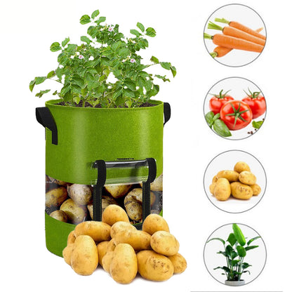 See-Through Potato Planter Bag – Breathable Non-Woven Grow Pot with 360° Transparent Window for Potatoes, Vegetables, Herbs and Easy Harvest Monitoring
