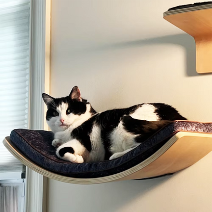 Wall-Mounted Cat Shelves – Curved Hammock Bed & Climbing Steps with Cushions for Sleeping, Playing, Climbing and Indoor Cat Furniture