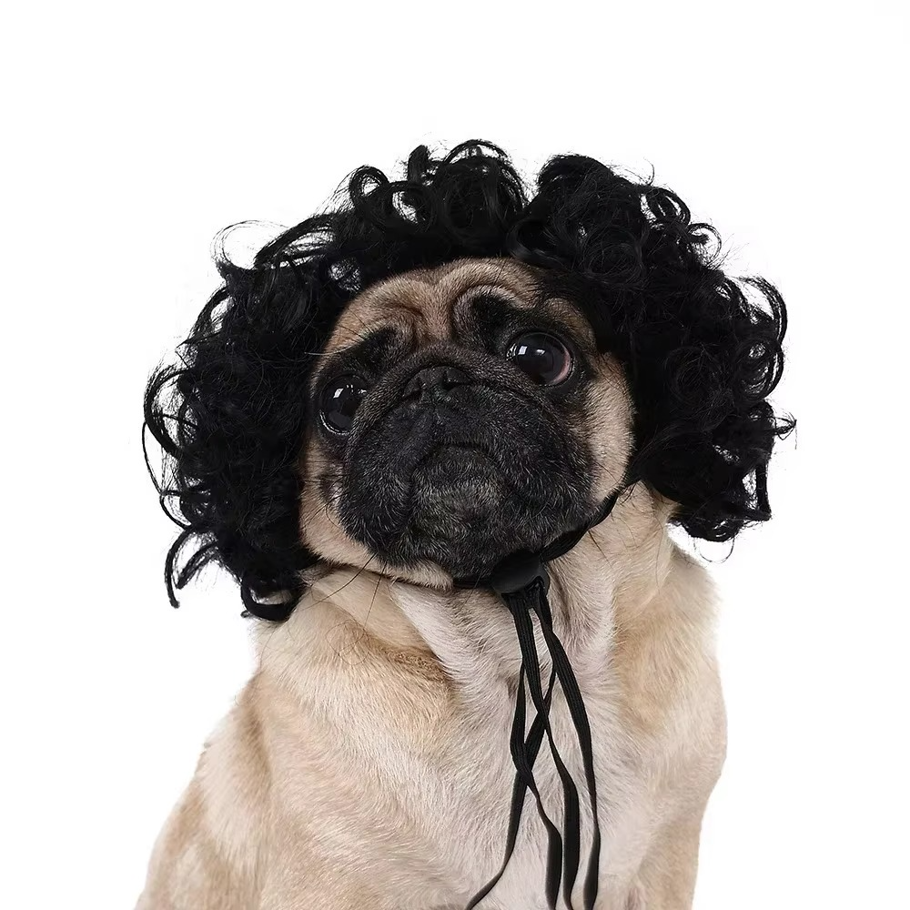 Pet Wig for Dogs & Cats – DIY Trimmable Curly or Straight Hair Costume Wig for Halloween, Parties, Photoshoots and Fun Pet Dress-Up