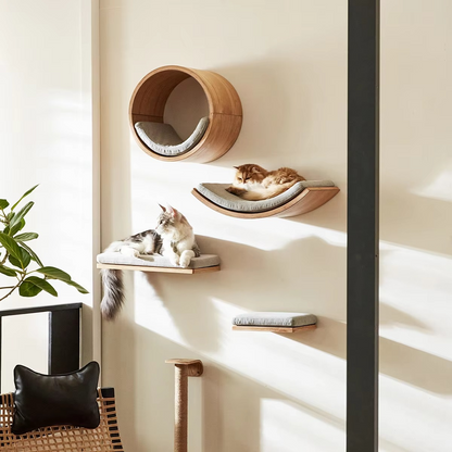 Wall-Mounted Cat Shelves – Curved Hammock Bed & Climbing Steps with Cushions for Sleeping, Playing, Climbing and Indoor Cat Furniture