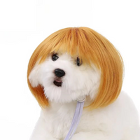 Golden with Bangs