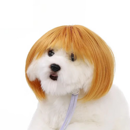 Pet Wig for Dogs & Cats – DIY Trimmable Curly or Straight Hair Costume Wig for Halloween, Parties, Photoshoots and Fun Pet Dress-Up